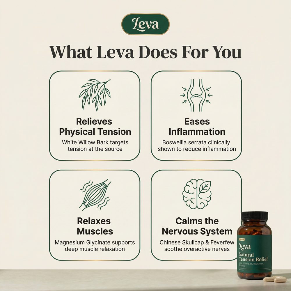 What Leva Does For You — 4 Key Benefits