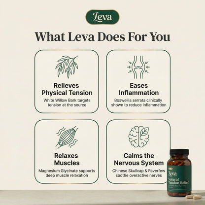 What Leva Does For You — 4 Key Benefits