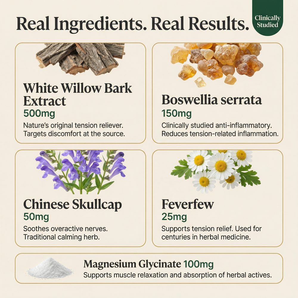 Real Ingredients. Real Results. — Leva Formula Breakdown